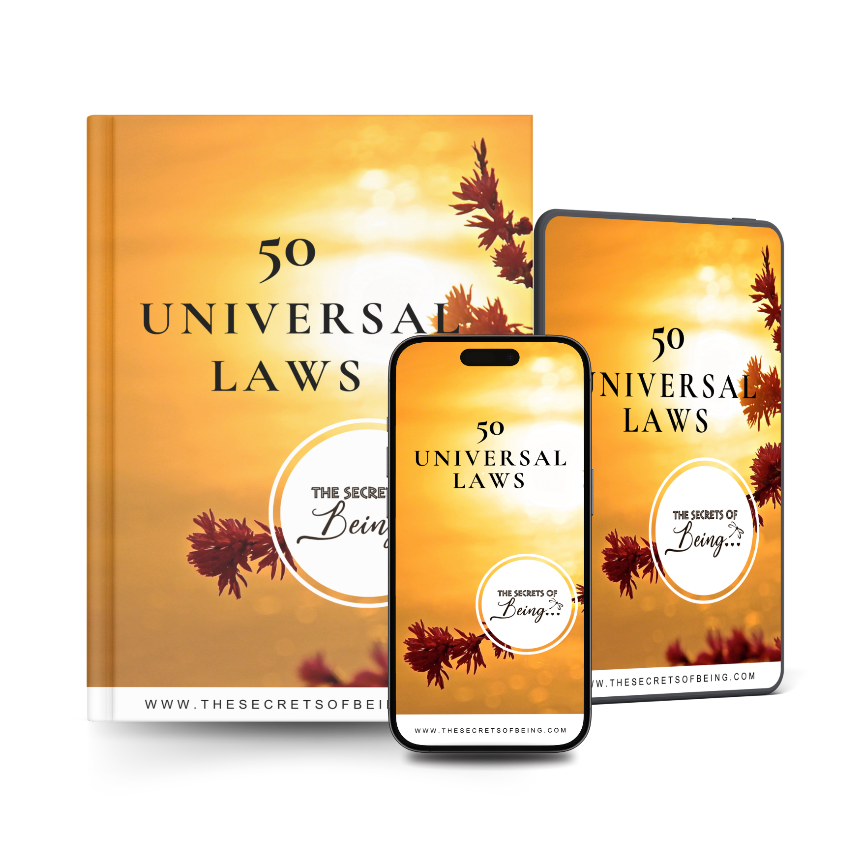 50 Universal Laws book