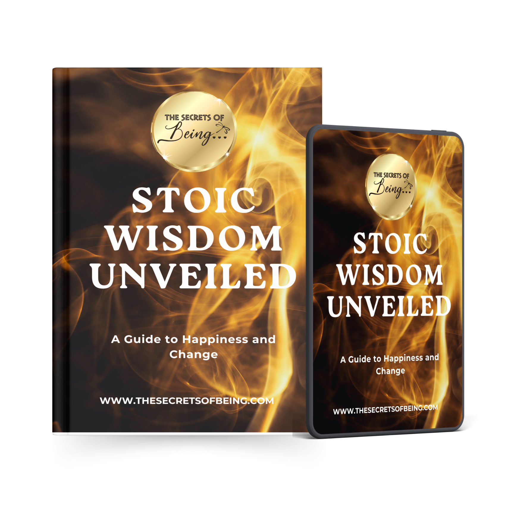 Stoic Wisdom Unveiled book
